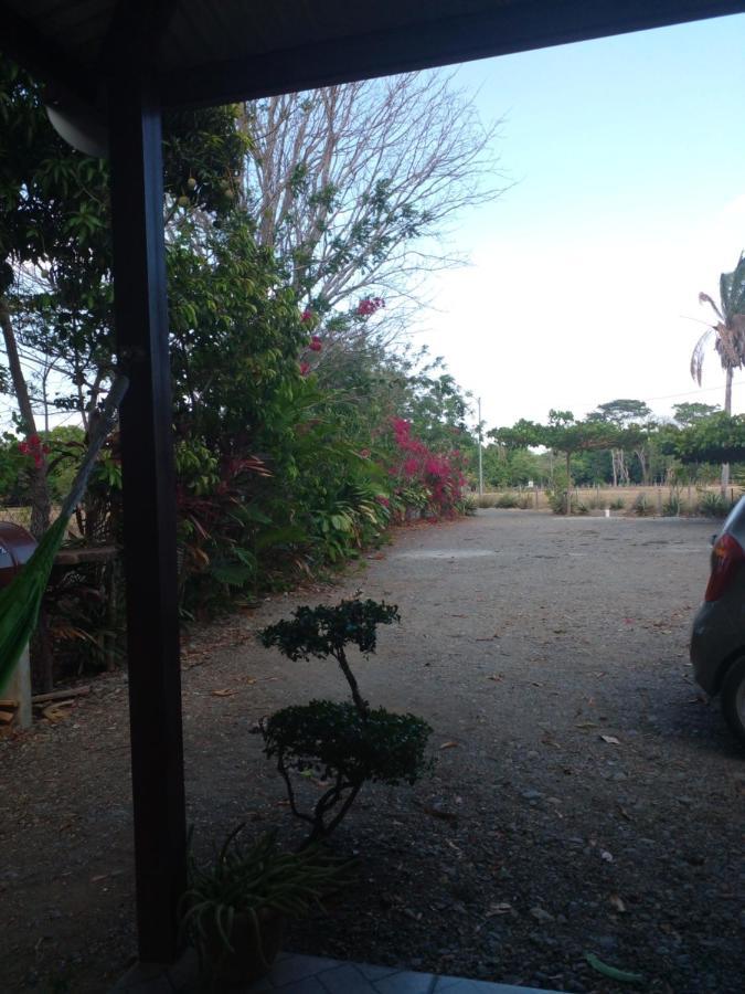 Cabanas Martina Surf Playa Guanico Pedregal 외부 사진