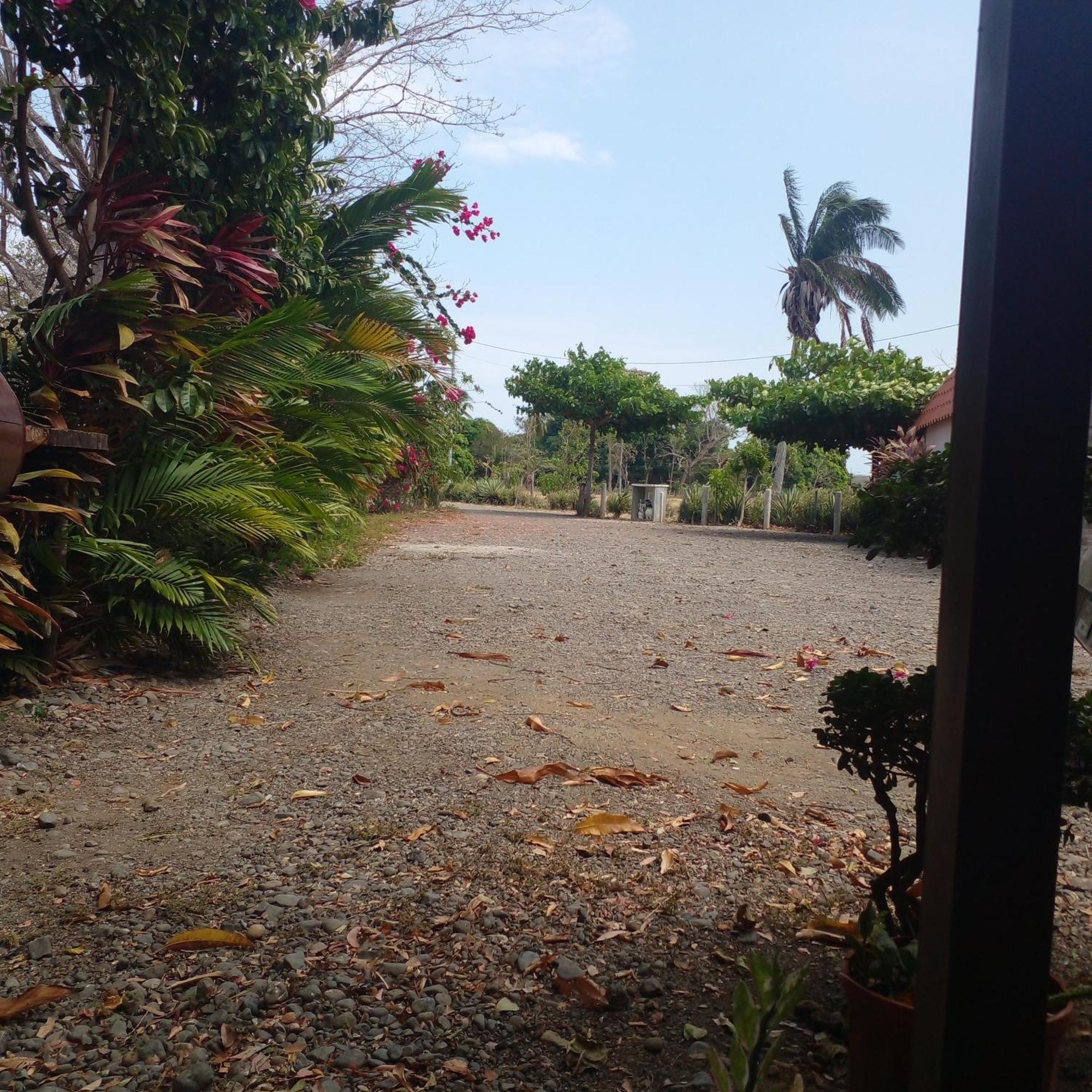 Cabanas Martina Surf Playa Guanico Pedregal 외부 사진